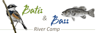 Batis and Bass River Camp